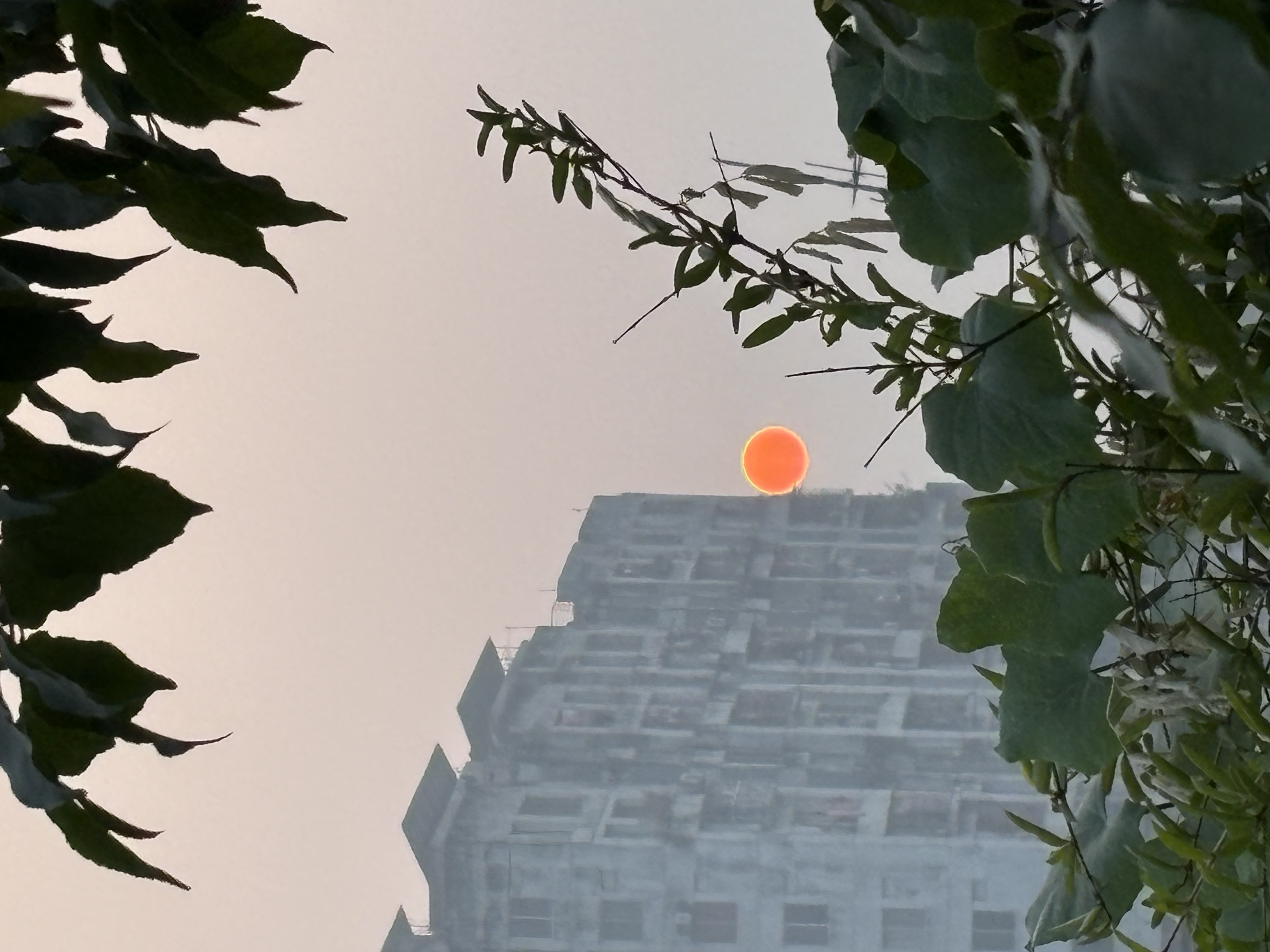 Bangladesh
